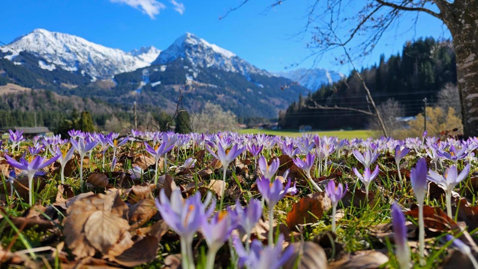 Baerbels Ferienwohnungen Langenwang Esterno foto